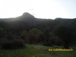 منظر طبيعي بضواحي بلدية  واسيف  2