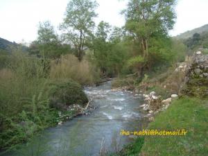 منظر طبيعي بضواحي بلدية  واسيف  3