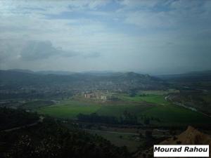 Verdure et Urbanisme se conjuguent bien à Ammi Moussa