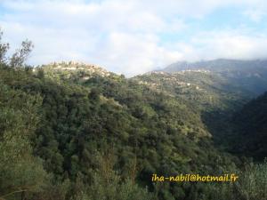 منظر طبيعي بضواحي بلدية 