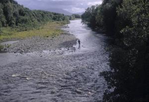 صورة لوادي  مينة  بولاية  غليزان