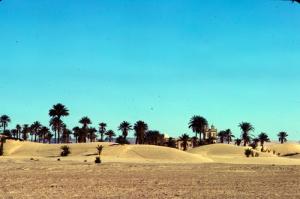 الواحات و الكثبان الرملية بضواحي  غرداية