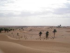 منظر من ضواحي  الڨليعة