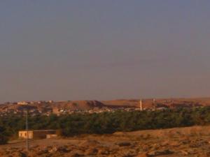 منظر من واحة  غرداية