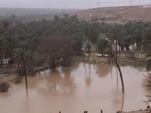 حوض مائي لري الواحات ببلدية  بريان  (ولاية غرداية)