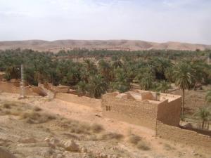 واحات مدينة  غرداية