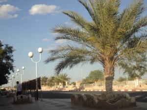 شوارع  حاسي الفحل