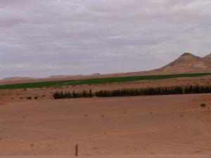 أراضي فلاحية بضواحي  غرداية