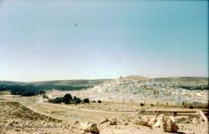 منظر شامل لمدينة  غرداية  1