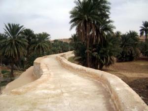 الري التقليدي لواحات  أحباس