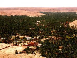 صورة لواحات غرداية