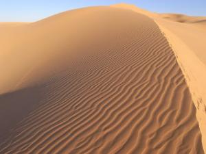 العرق الغربي الكبير بضواحي غرداية