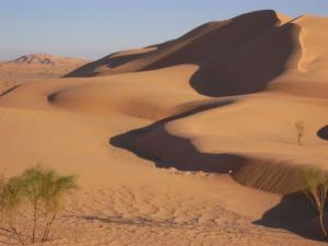 الكثبان الرملية  بضواحي غرداية 1