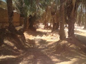 ساڨيات بني يسڨن  بولاية غرداية