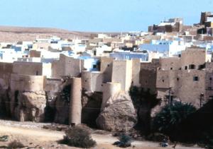 منظر من مدينة غرداية