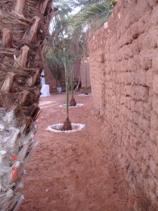 أسوار واحة  بني يسڨن  (ولاية غرداية)