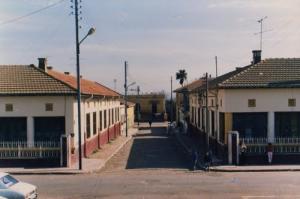 السوق المحلي لمدينة  العامرية  سنة 1984