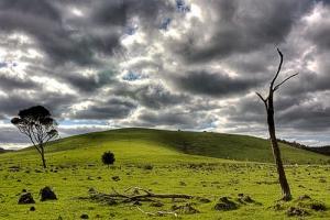 الحقول الخضراء لبلدية  العامرية  (ولاية عين تموشنت)