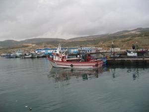 ميناء الصيد البحري بشاطئ  بوزجار  (ولاية عين تموشنت)