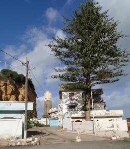 شوارع مدينة  بني صاف