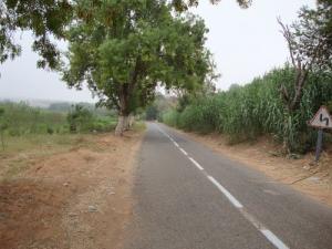 الطريق المؤدي إلى بلدية  حاسي الغلة