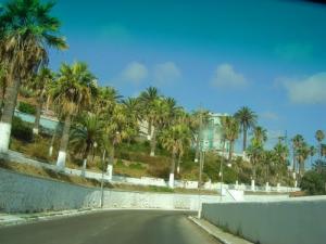 شوارع مدينة  بني صاف  (1)