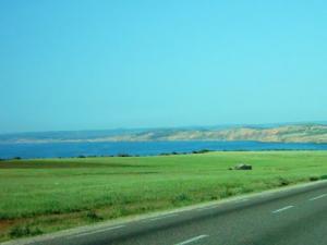 مدخل مدينة  بني صاف  (1)