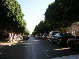 وسط مدينة  عين تموشنت