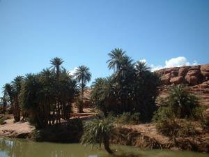 منظر لوادي  تيوت  (1)