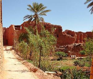 حدائق قصر  تيوت