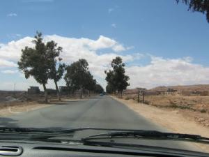 المدخل الجنوبي لبلدية  عين صفرة