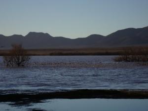 منظر طبيعي من منطقة  عين بن خليل