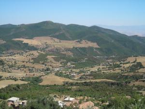 غابة  حمامة  ببلدية  عين تركي