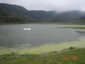 صورة لبحيرة  ضاية  بولاية  عين الدفلة