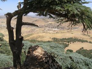 منظر طبيعي من ضواحي  عين الدفلة