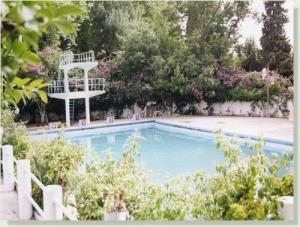 المسبح البلدي لمدينة  مليانة