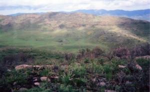 منظر طبيعي بضواحي  مليانة