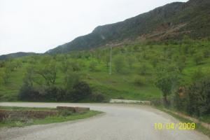 الحقول الخضراء بضواحي  عين الدفلة