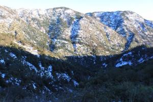 جبال  عين الدفلة  تحت الثلوج