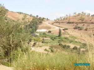 المنبع المائي الرئيسي لبلدية  بن علال