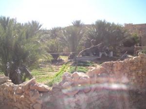 واحات بلدية 