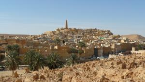 منظر شامل لمدينة غرداية 1