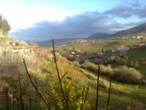 منظر طبيعي من ضواحي بلدية  رواشد