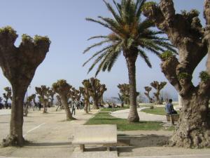 ساحة وسط مدينة  شرشال