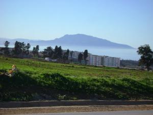 مدخل مدينة  بو إسماعيل