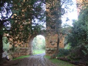 قناة جر المياه من العهد الروماني بضواحي  شرشال  1