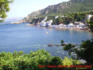 منظر من شاطئ  الخروبة