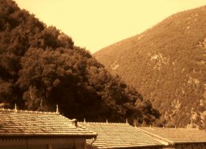 منظر من أحد الجبال الساحلية لولاية  تيبازة