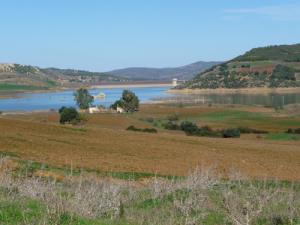 أراضي فلاحية بمنطقة  فجانة  (ولاية تيبازة)