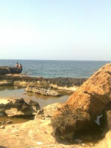 صورة من ساحل  كوالي